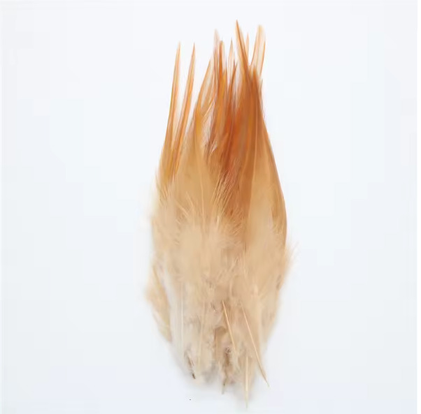 PLUMAS MARRONES
